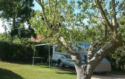 Camping Zeeuwse Landhoeve