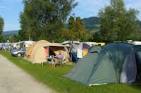 Camping Zeh am See - zeltwiese