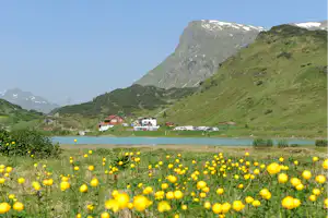 Blick auf einen Campingplatz mit Wohnwagen und Häusern im Tal, umgeben von grünen Bergen und gelben Blumen im Vordergrund.