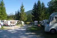 Camping Zellersee - schattiger Zelt- und Wohnmobilstellplatz auf dem Campingplatz 