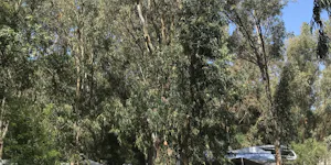 Camping Zetas - Wohnwagenstellplatz und Wohnmobilstellplatz vom Campingplatz im Schatten von Bäumen