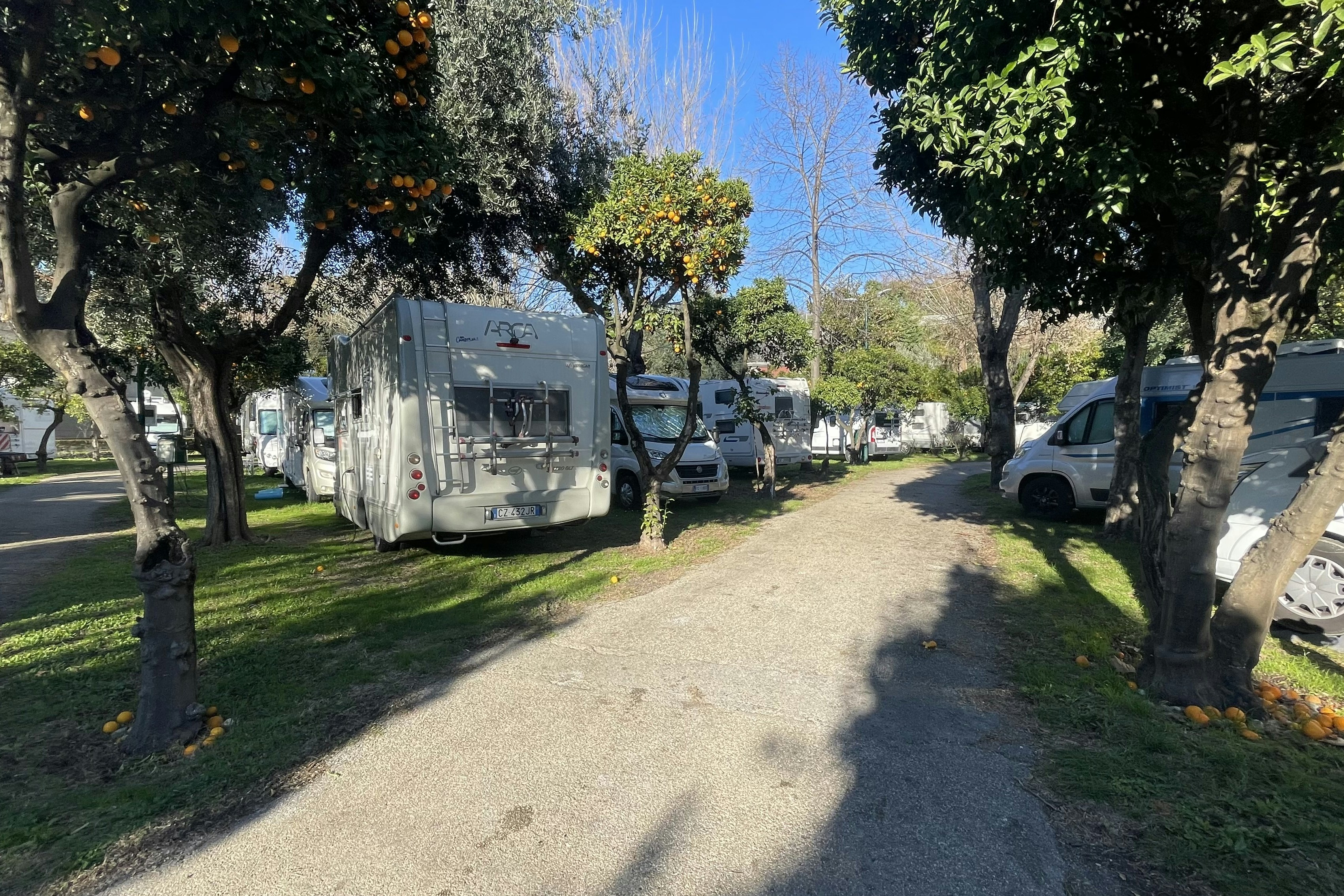 Camping Zeus - Standplätze auf dem Campingplatz