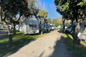 Camping Zeus - Standplätze auf dem Campingplatz