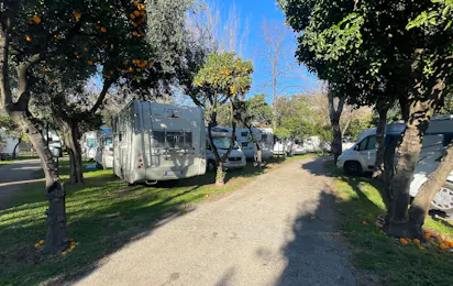 Camping Zeus