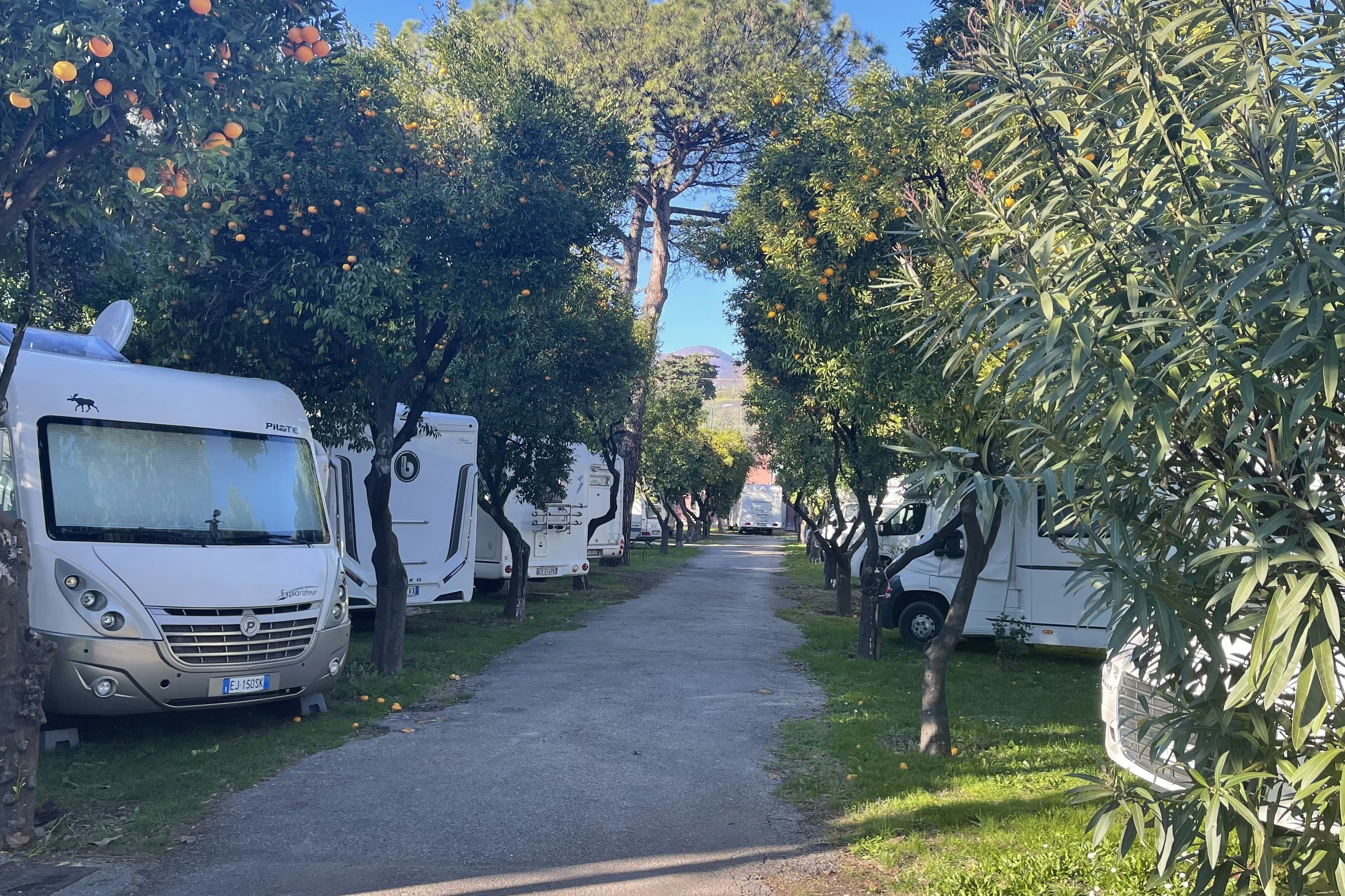 Camping Zeus - Standplätze auf dem Campingplatz