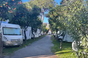 Camping Zeus - Standplätze auf dem Campingplatz