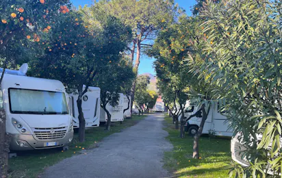 Camping Zeus