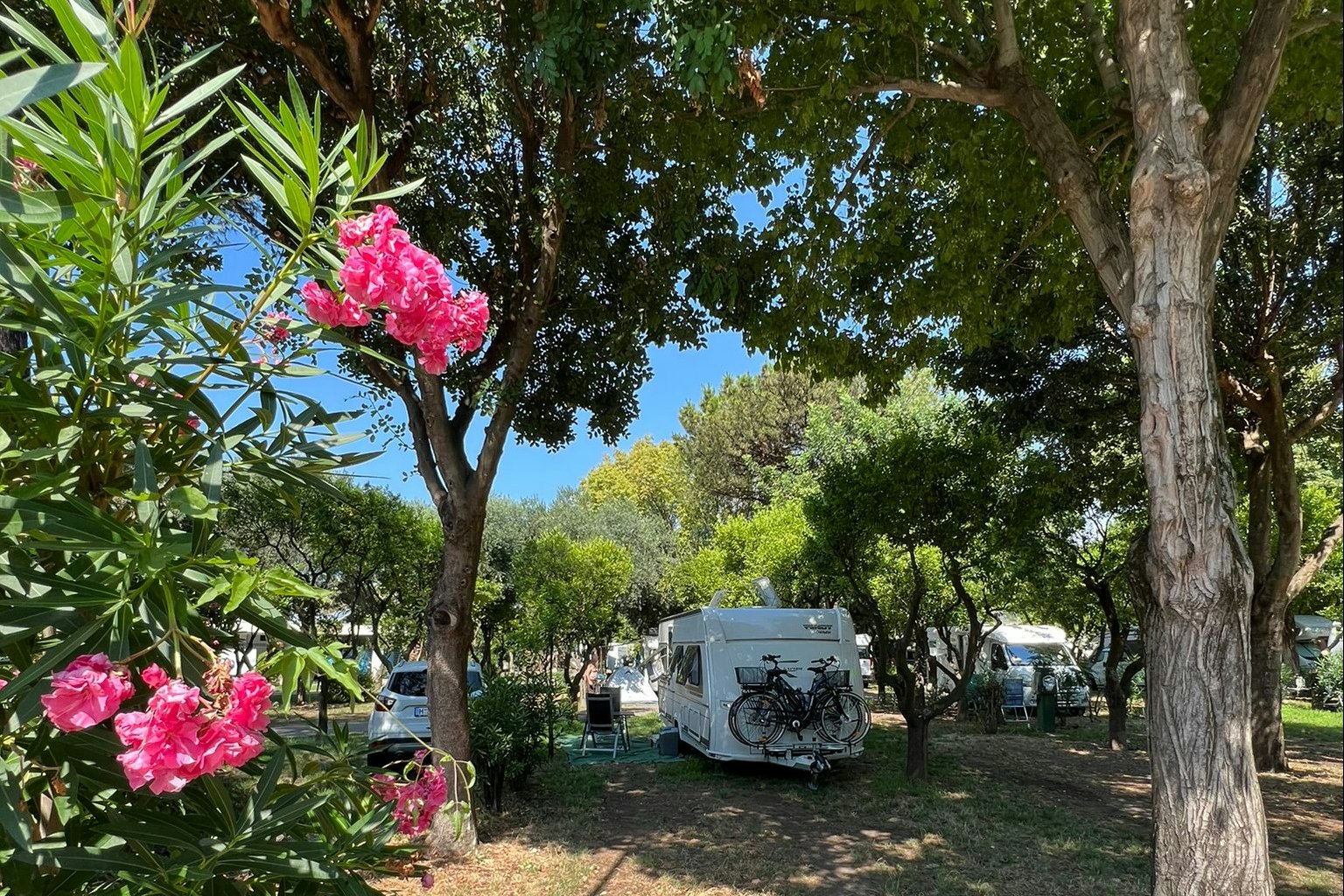 Camping Zeus - Standplätze auf dem Campingplatz