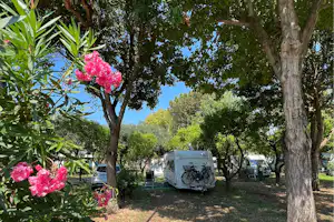 Camping Zeus - Standplätze auf dem Campingplatz
