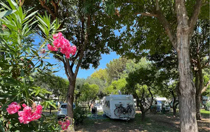 Camping Zeus