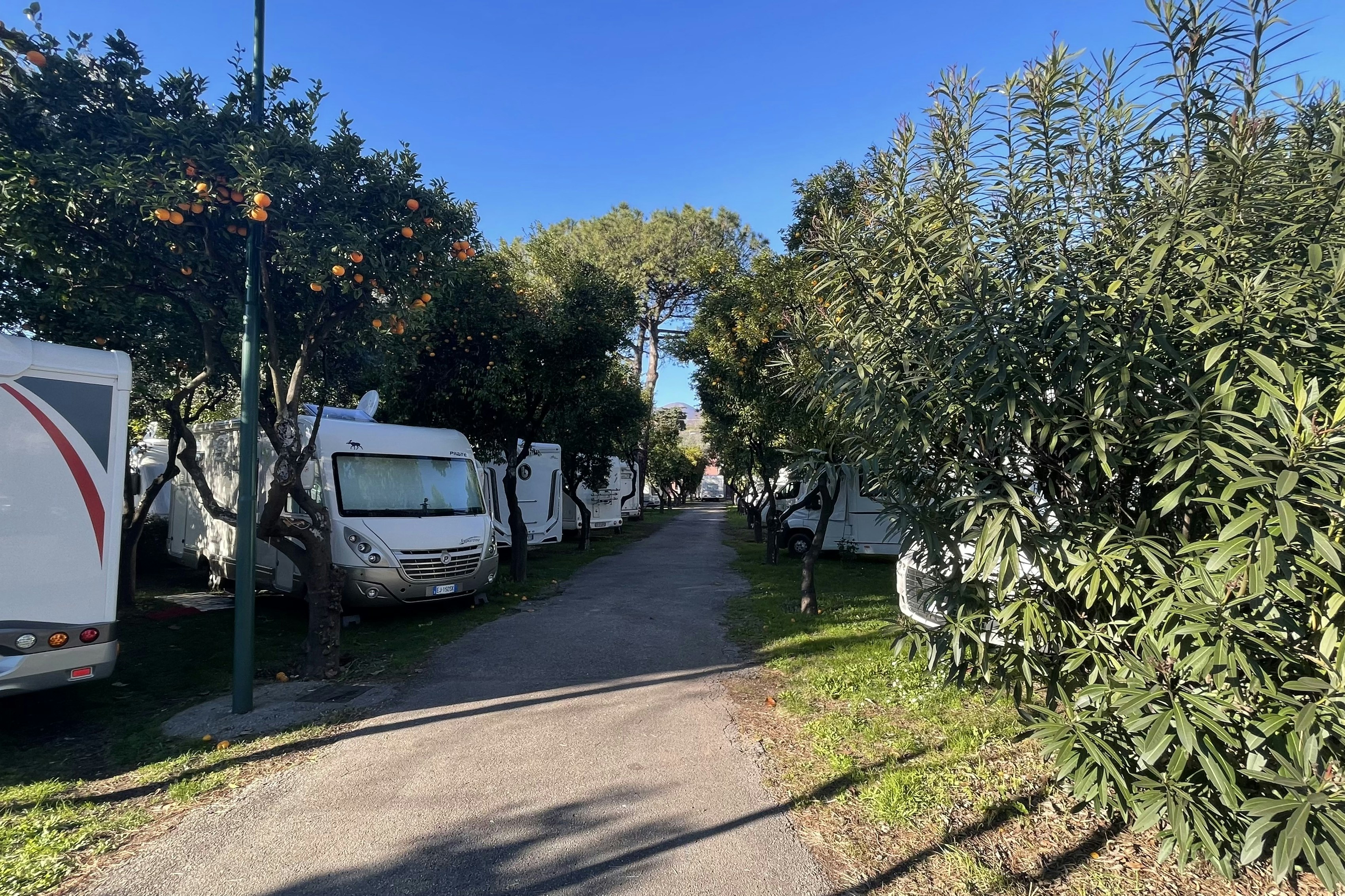 Camping Zeus - Standplätze zwischen den Obstbäumen