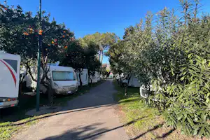 Camping Zeus - Standplätze zwischen den Obstbäumen