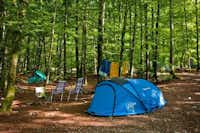 Camping Zlatorog - Zelt auf einem Stellplatz unter Bäumen