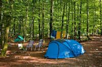 Camping Zlatorog - Zelt auf einem Stellplatz unter Bäumen