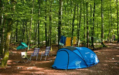Camp Bohinj