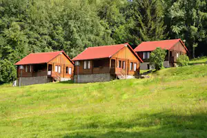 Holzhütten mit roten Dächern auf einer grünen Wiese, umgeben von dichtem Wald und kleinen Wegen.
