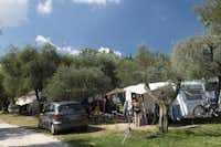 Camping Zocco -  Wohnwagen- und Zeltstellplatz vom Campingplatz unter Olivenbäumen