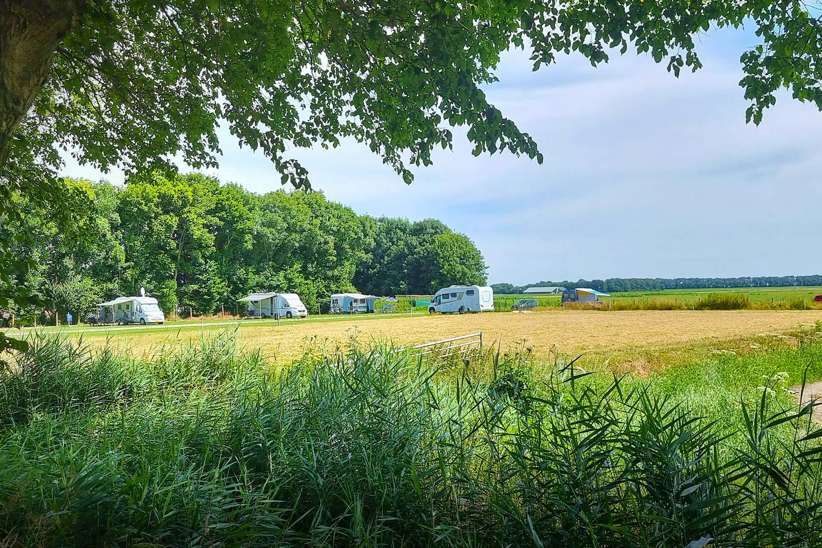 Camping Zonnehove - Blick auf die Standplätze auf dem Campingplatz