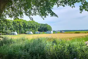 Blick vom Campingplatz auf ein Feld mit Baum im Vordergrund und Wohnwagen in der Ferne.
