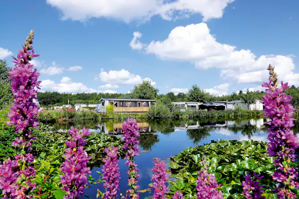 Camping Zonnekamp