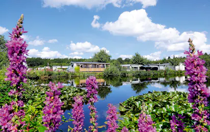 Camping Zonnekamp