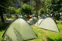 Camping Zoo  -  Zeltstellplätze im Grünen auf dem Campingplatz