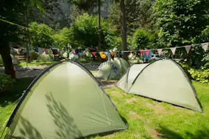 Camping Zoo - Zeltstellplätze im Grünen auf dem Campingplatz