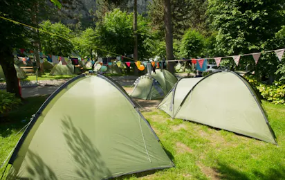 Camping Zoo