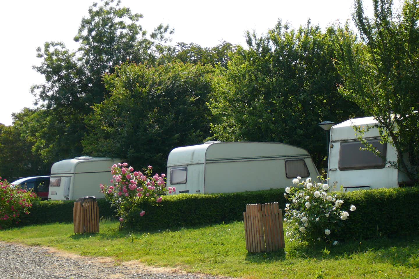 Camping Zora  -  Stellplatz vom Campingplatz im Grünen