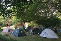 Camping Zora  -  Zeltplatz vom Campingplatz im Schatten von Bäumen auf grüner Wiese
