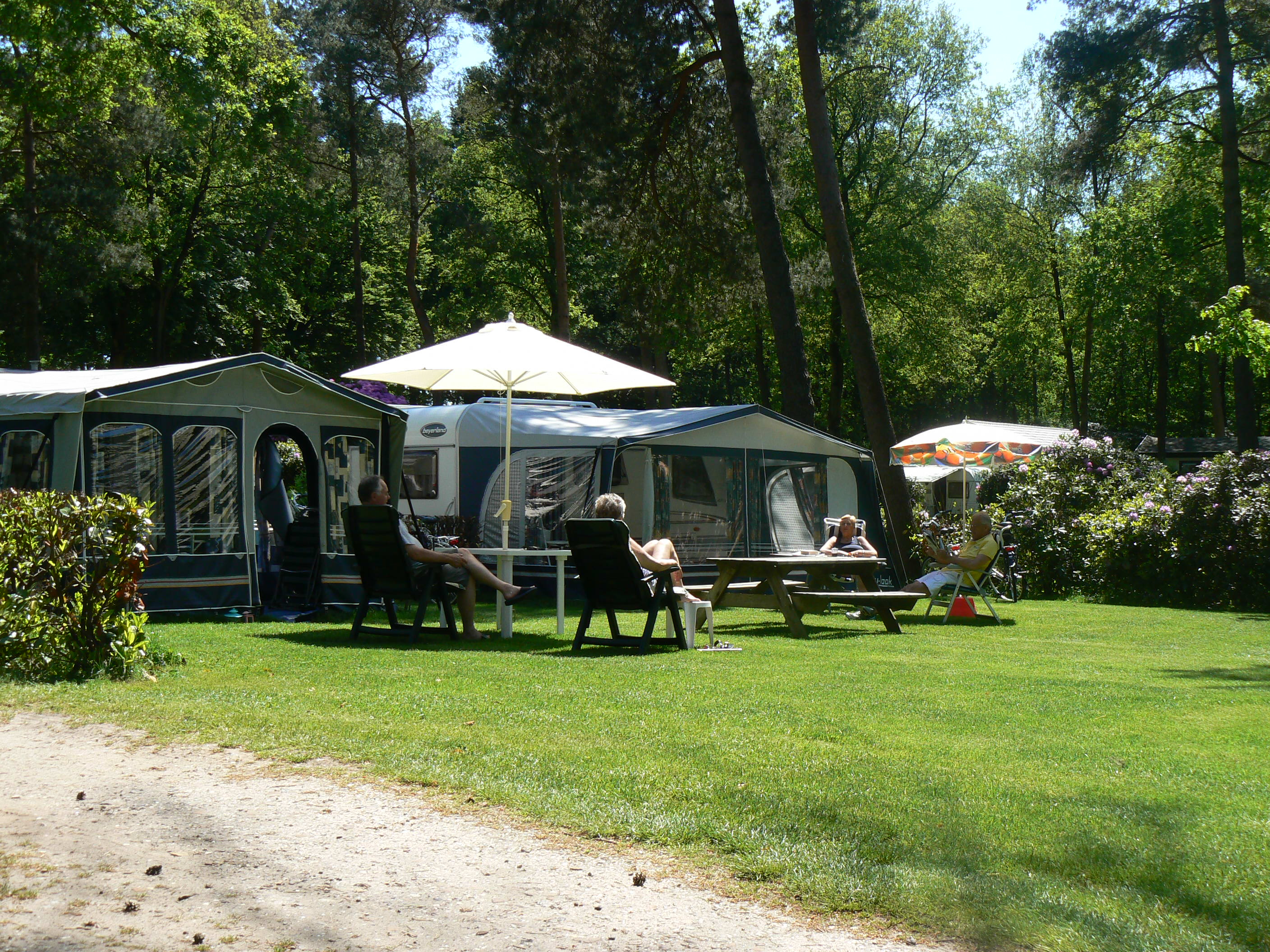 Camping Zuid Ginkel