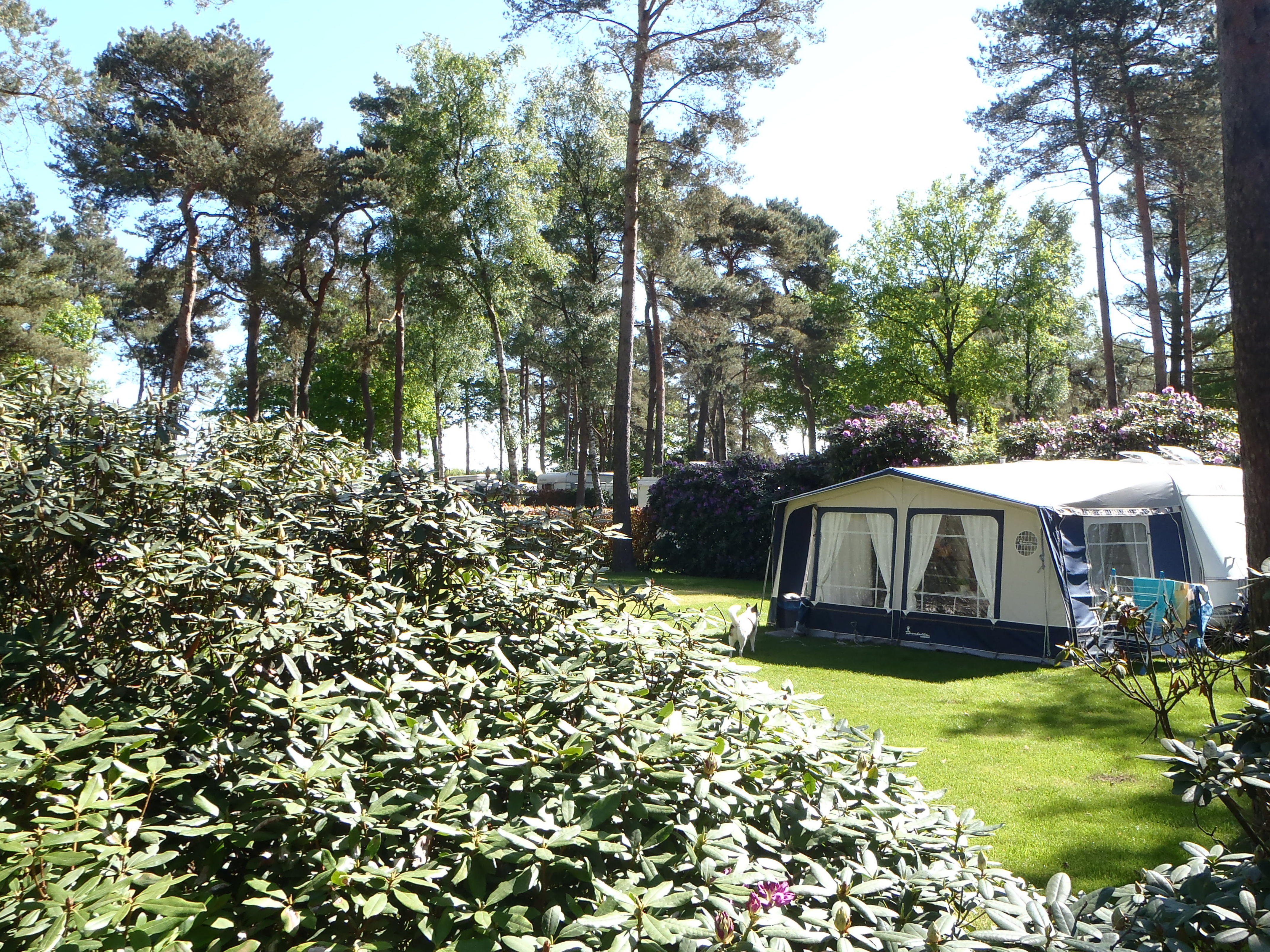 Camping Zuid Ginkel