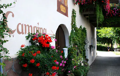 Camping zum guten Tropfen