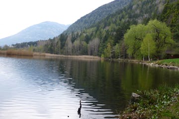 Camping Zum Vahrner See