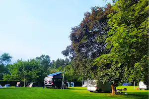 Campingplatz mit grünem Rasen, Zelt und Wohnmobilen, im Hintergrund Bäume und Laternen auf dem Stellplatz.