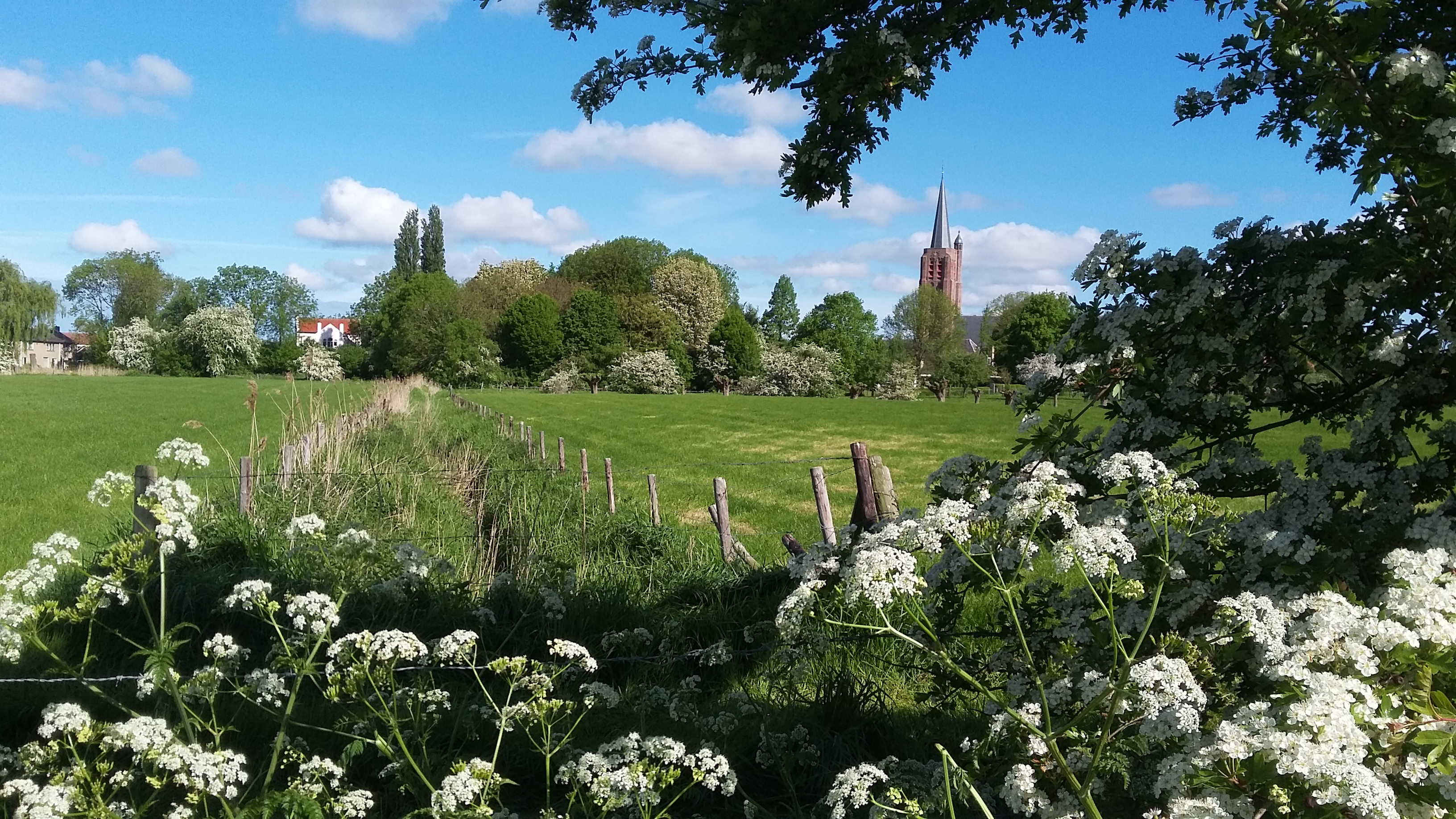 Camping Zwaakse Weel