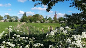 Camping Zwaakse Weel