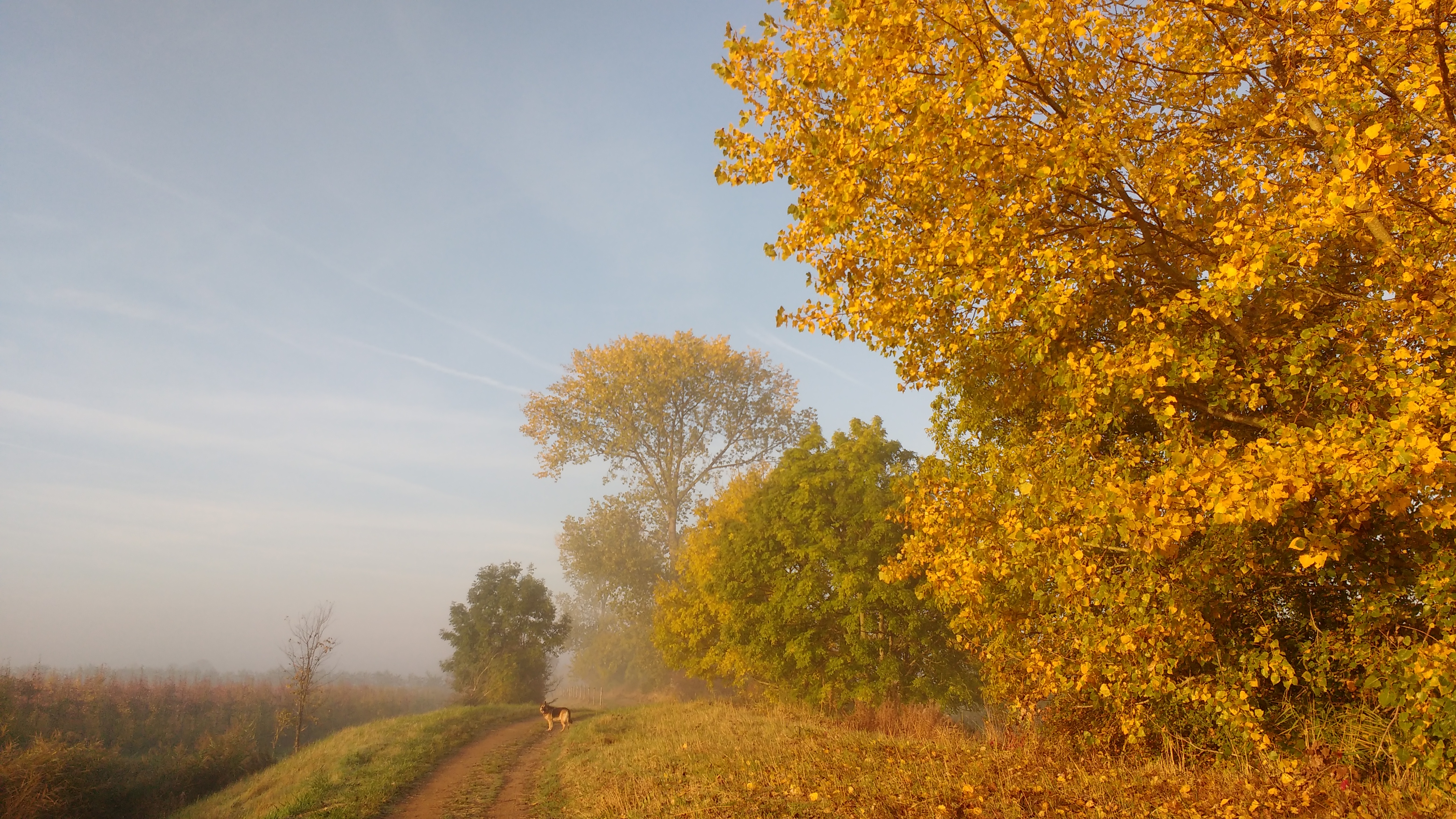 Camping Zwaakse Weel