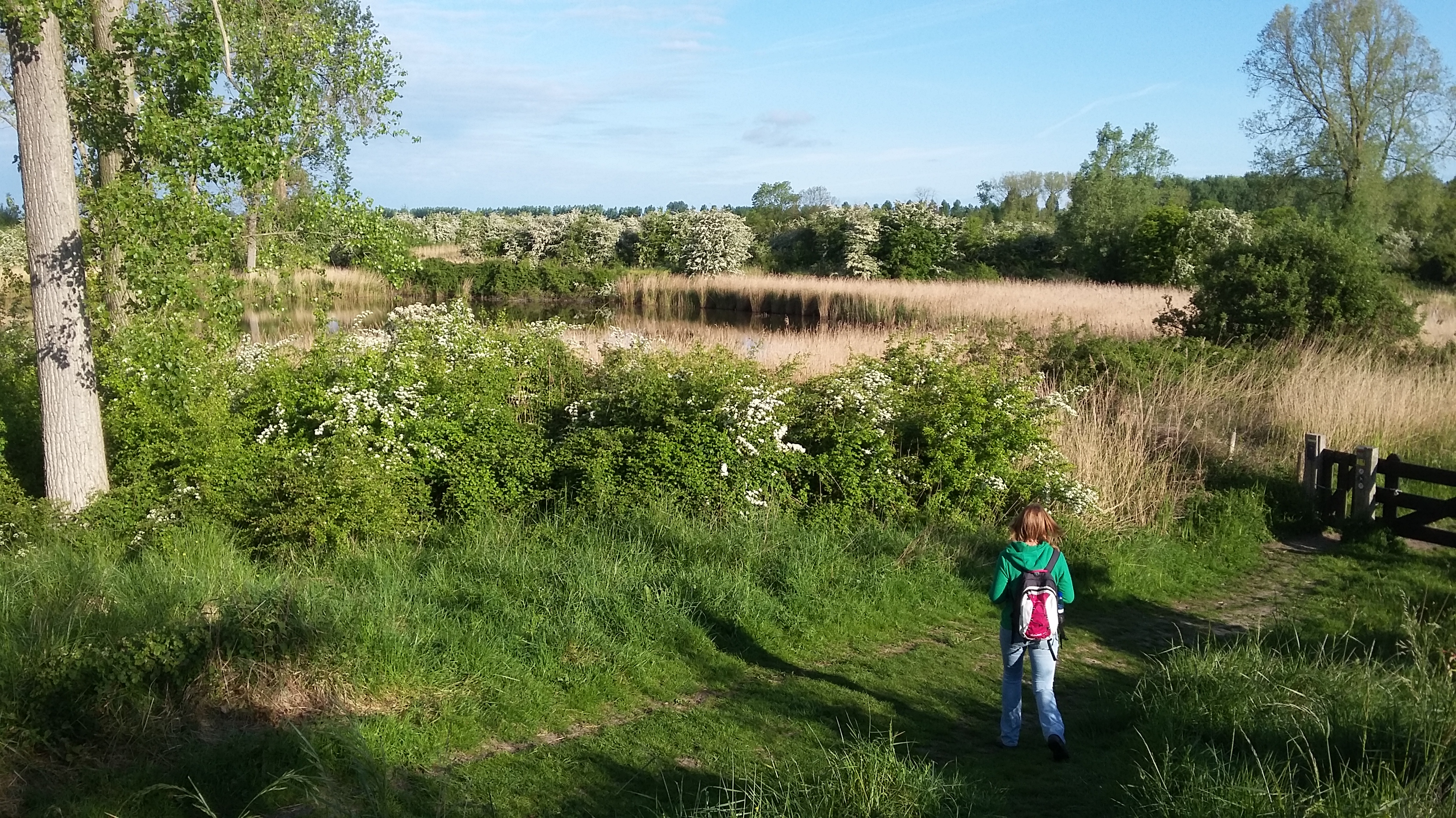 Camping Zwaakse Weel