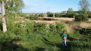 Camping Zwaakse Weel