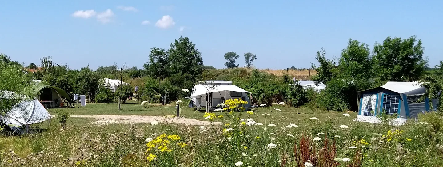 Camping Zwaakse Weel