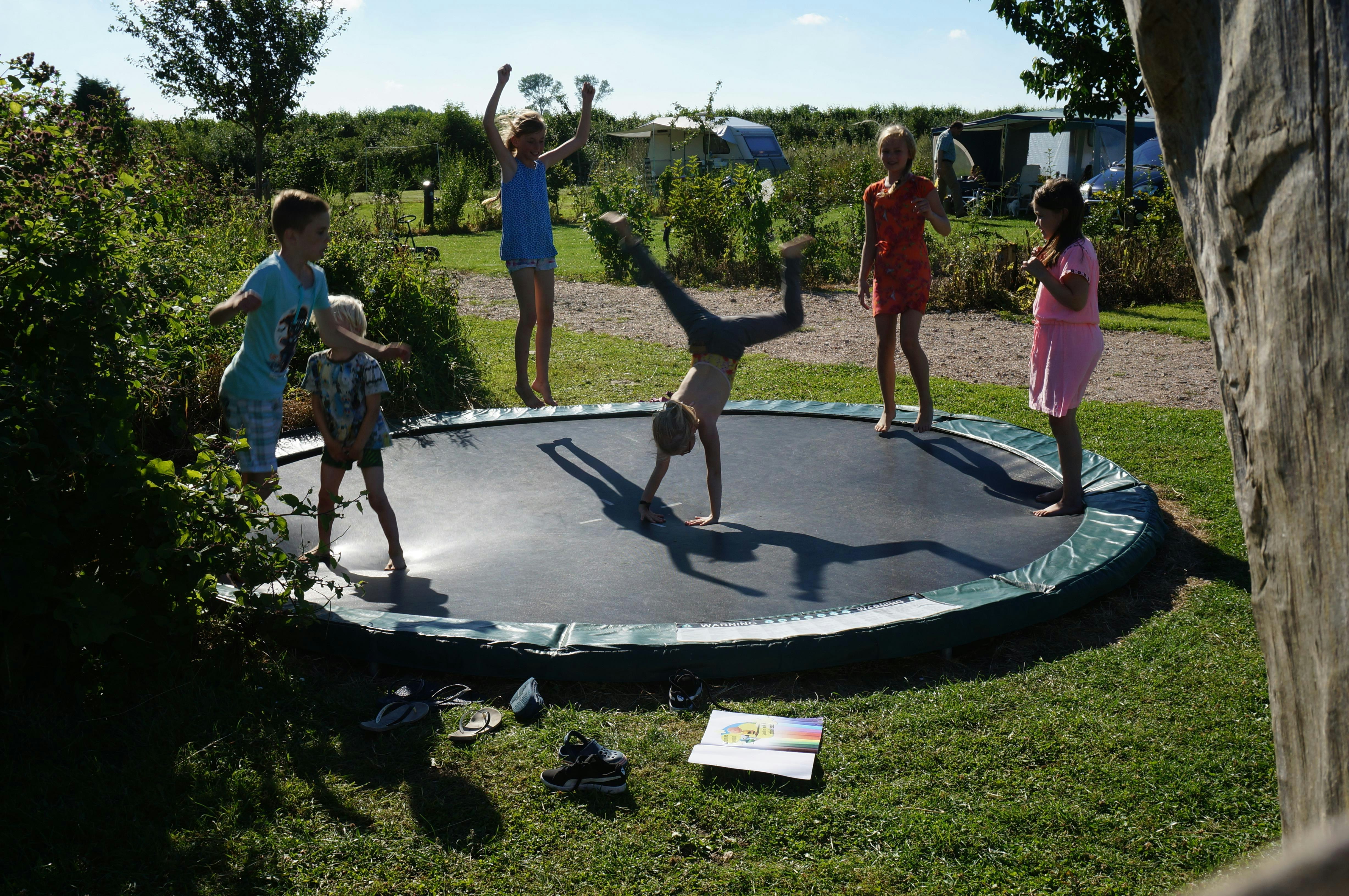 Camping Zwaakse Weel