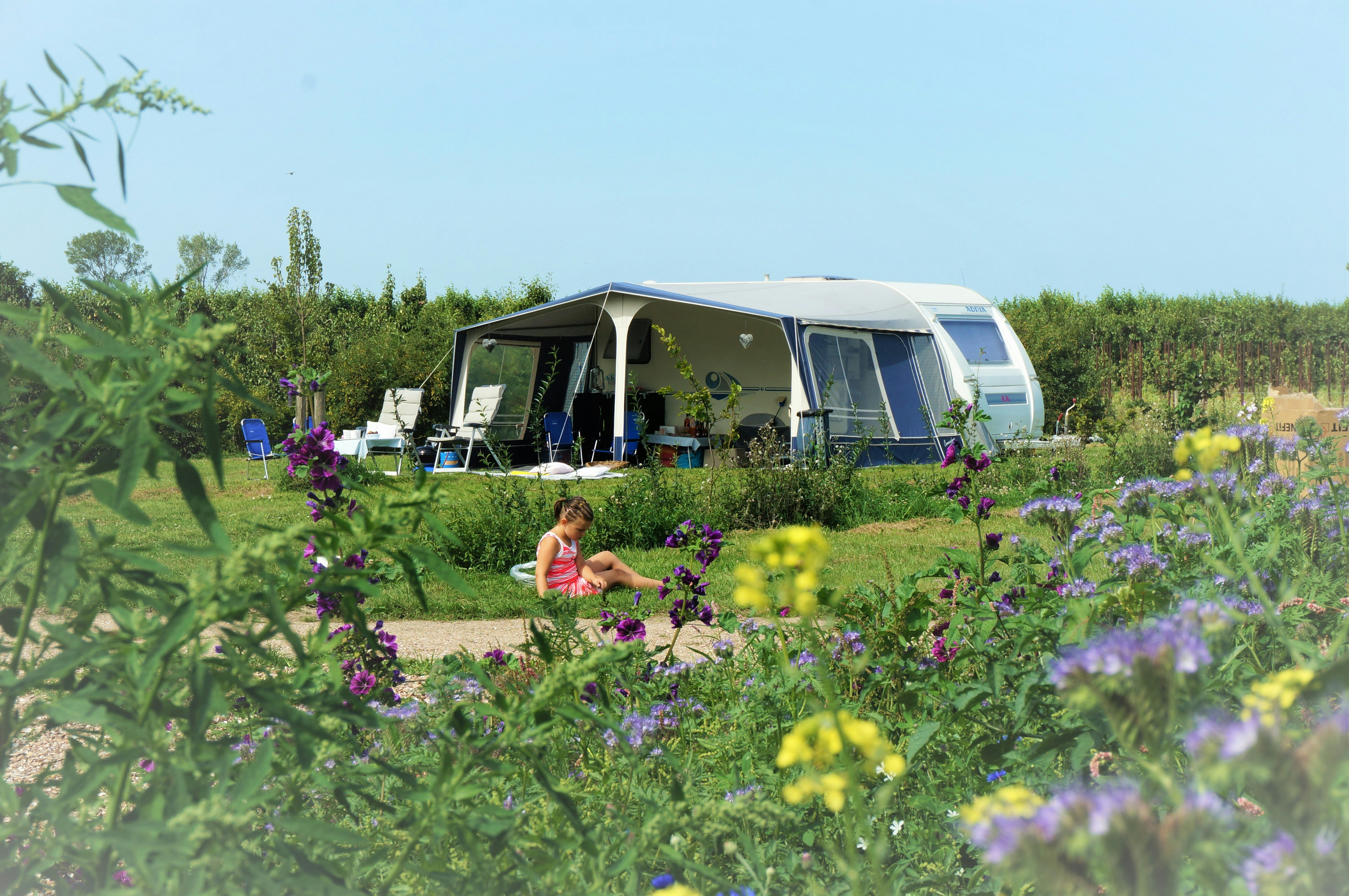 Camping Zwaakse Weel