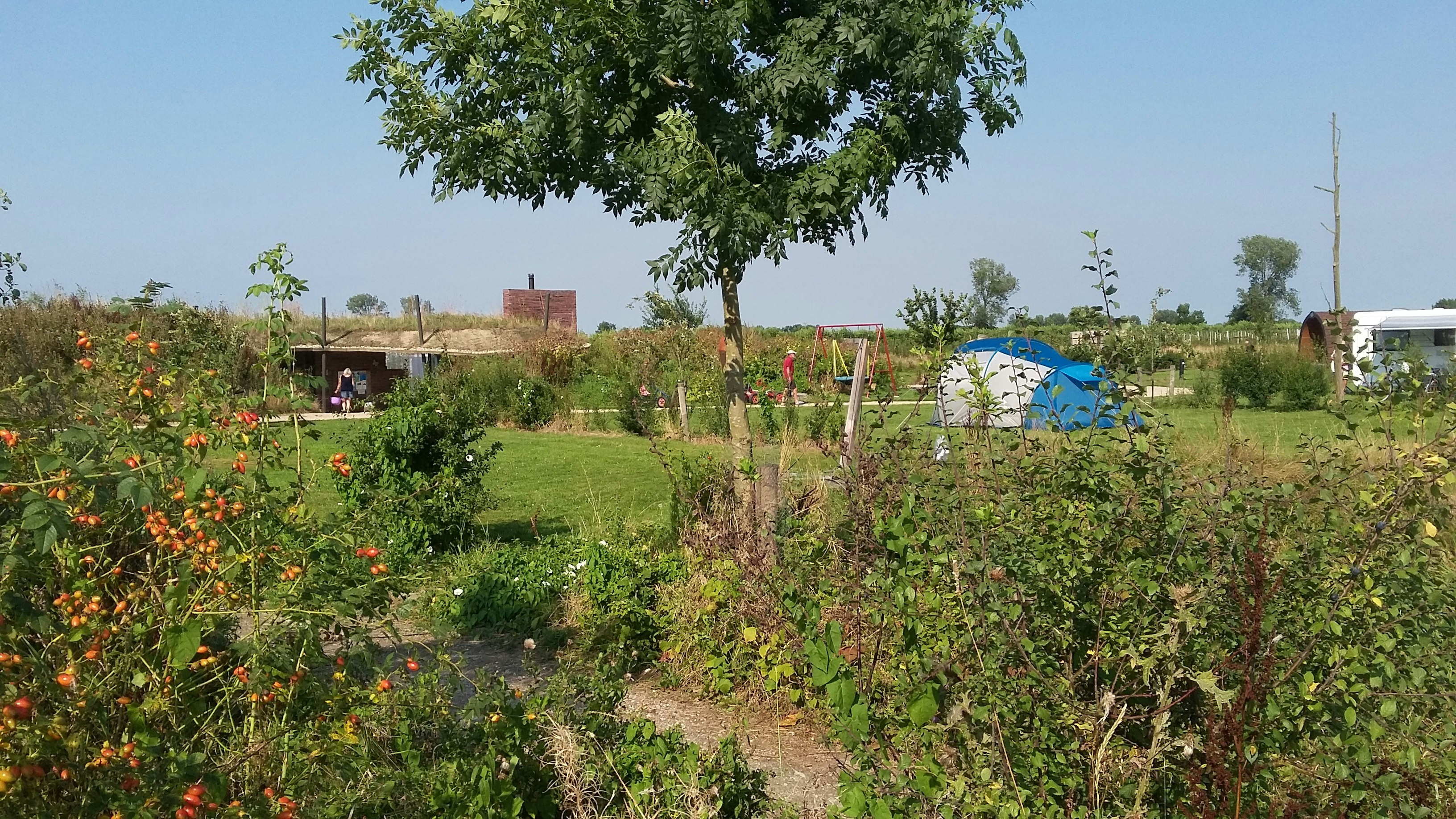 Camping Zwaakse Weel