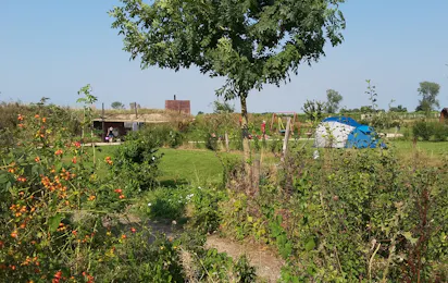 Camping Zwaakse Weel