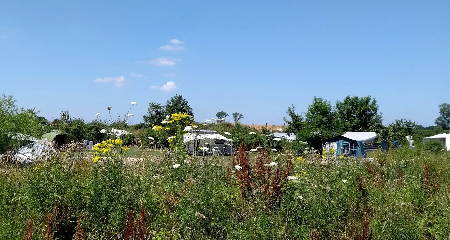 Camping Zwaakse Weel