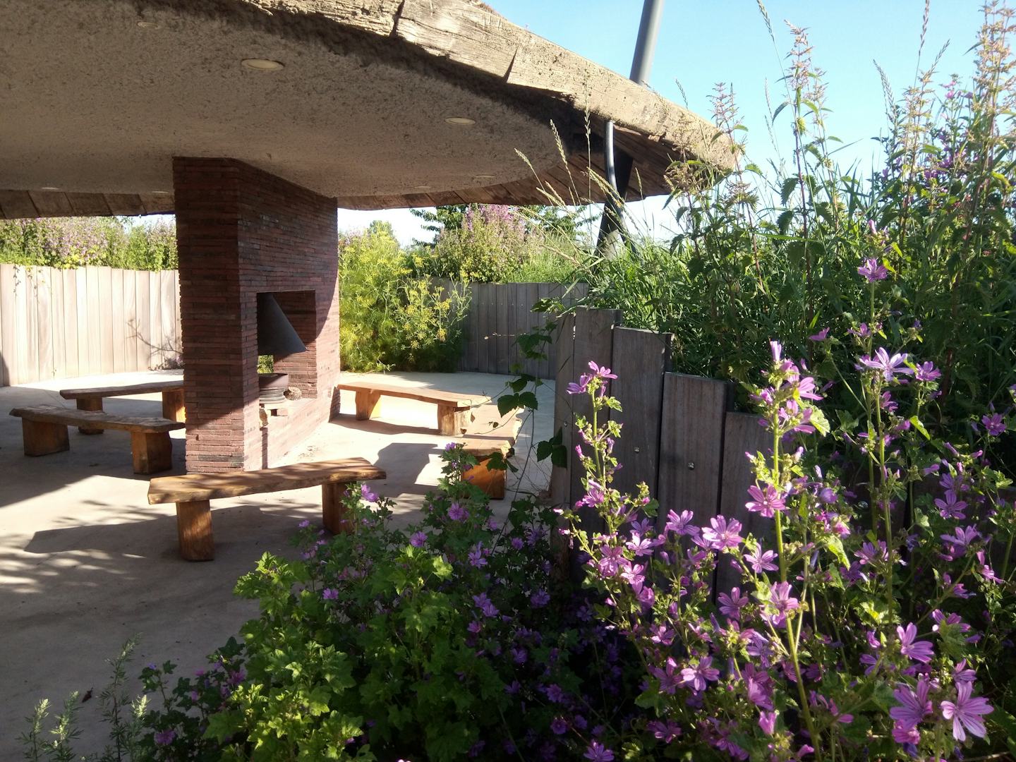 Camping Zwaakse Weel