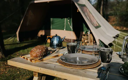 Boscamping Zwanemeer