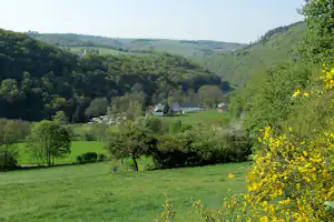 Camping Berkel Camping/B&B Berkel - Blick auf den Campingplatz umgeben von Wald und Feldern