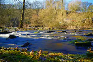 Camping Berkel Camping/B&B Berkel - Blick auf den Fluss beim Campingplatz